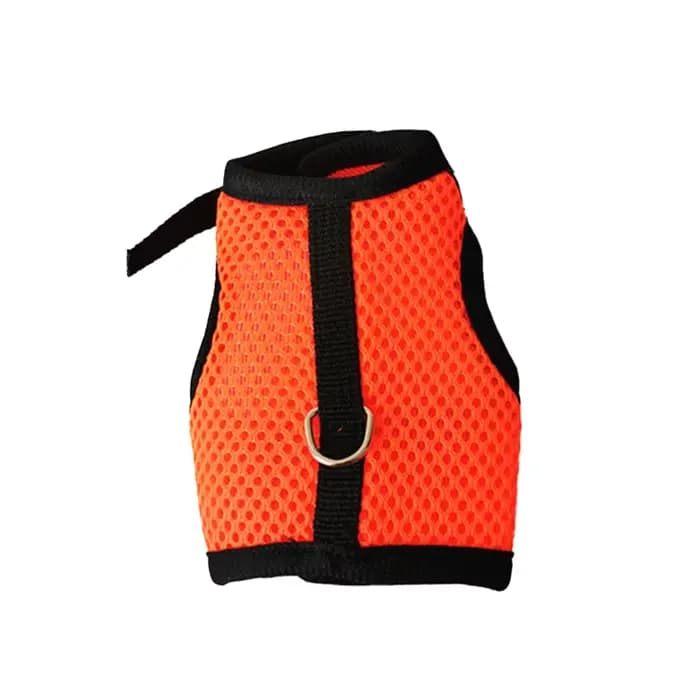 Ensemble d'accessoires pour animaux de compagnie HarNISSAN, maille souple, SFP avec laisse, petit an