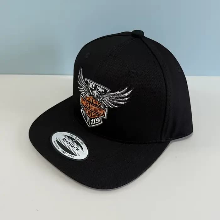 Mode Harley Davidson brodé Hiphop casquette de Baseball réglable Sport casquette décontractée en ple