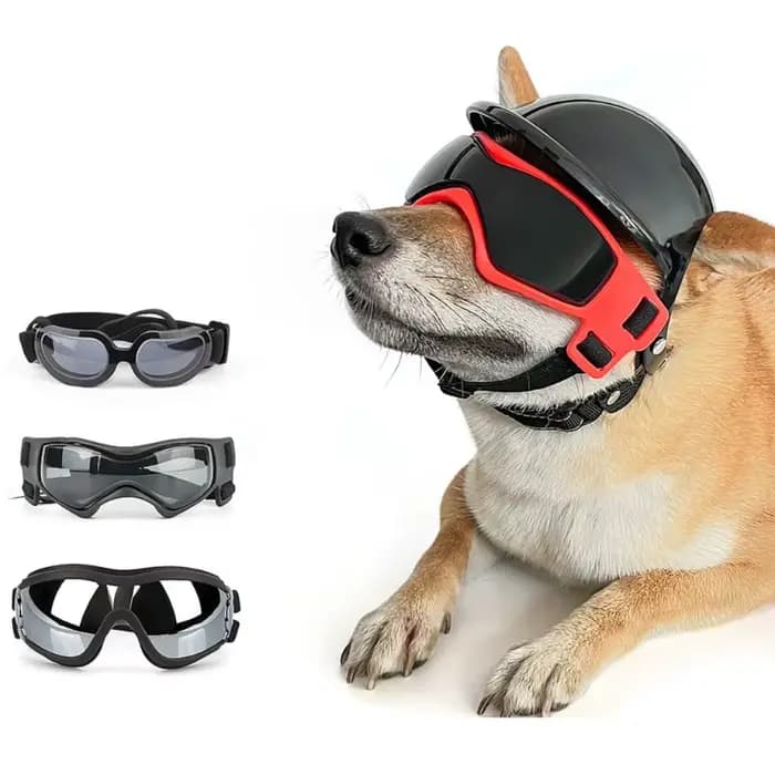Casque pour chien avec trou d'oreille casque + lunettes soleil casquette pour chien chapeau rigide pour