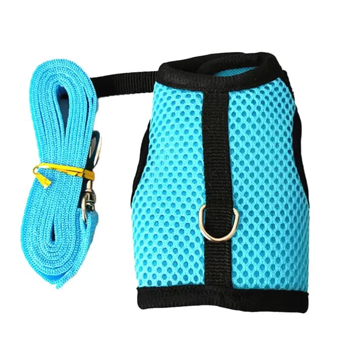 Ensemble d'accessoires pour animaux de compagnie HarNISSAN, maille souple, SFP avec laisse, petit animal, overd'inde, hamsters, lapin