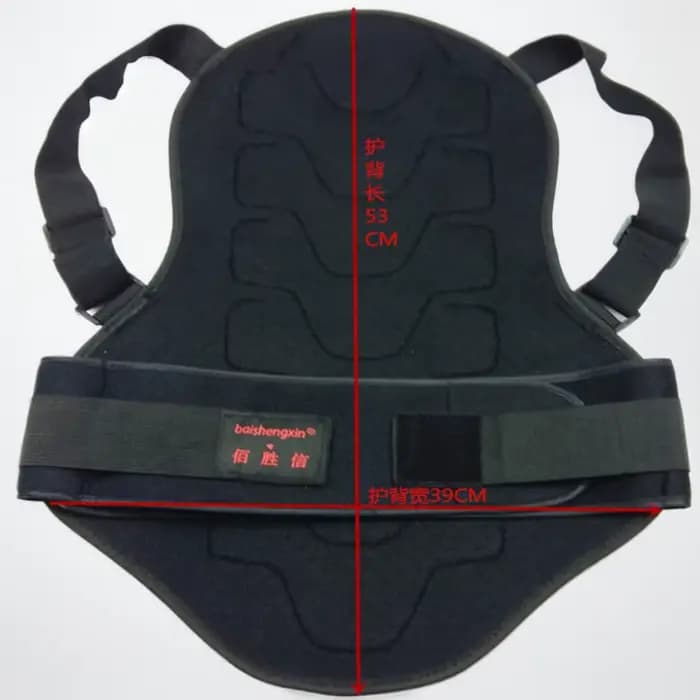 Protecteur de dos de moto
