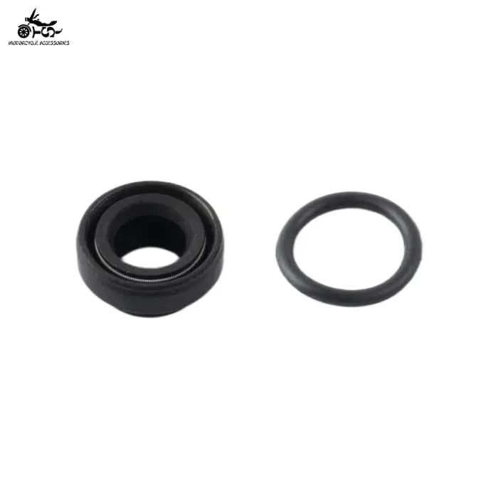 Kit de réparation de pompe à eau pour moto SJ compatible avec Peugeot XR6 XP6 XPS 50cc AM6 2T 100110080
