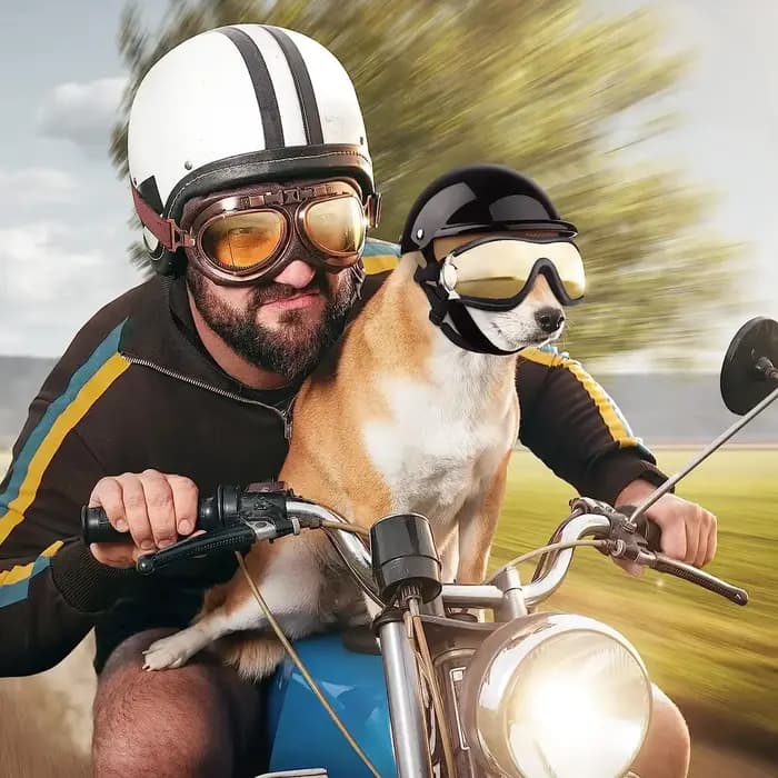 Ensemble de lunettes de soleil et de casque pour animaux de compagnie, protection contre la poussière, le vent et les UV, casque de moto réglable pour chien