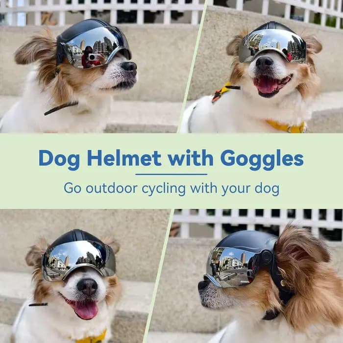 Casque pour chien de petite race, casque de moto pour animaux de compagnie avec visière argentée rabattable (sans rivets et avec rivets)