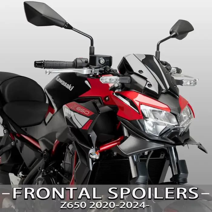 Becquet de force nue pour moto, déflecteur d'aile aérodynamique, pour KAWASAKI Z650 2020 2021 2022 2023 2024
