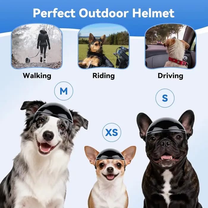Casques pour animaux de compagnie, accessoires pour chats et chiens, lunettes de moto, casque de sécurité pour petits chiens, casque de moto, fournitures pour chats