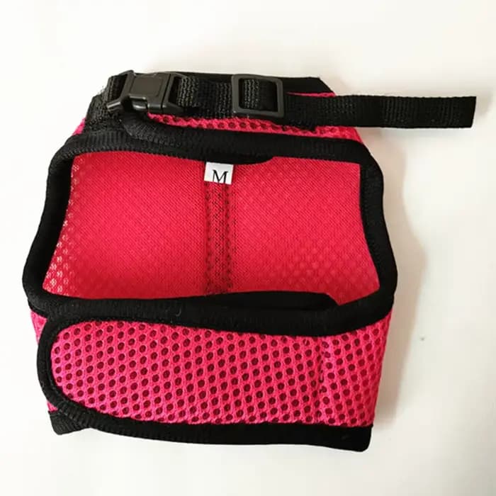 Ensemble d'accessoires pour animaux de compagnie HarNISSAN, maille souple, SFP avec laisse, petit animal, overd'inde, hamsters, lapin