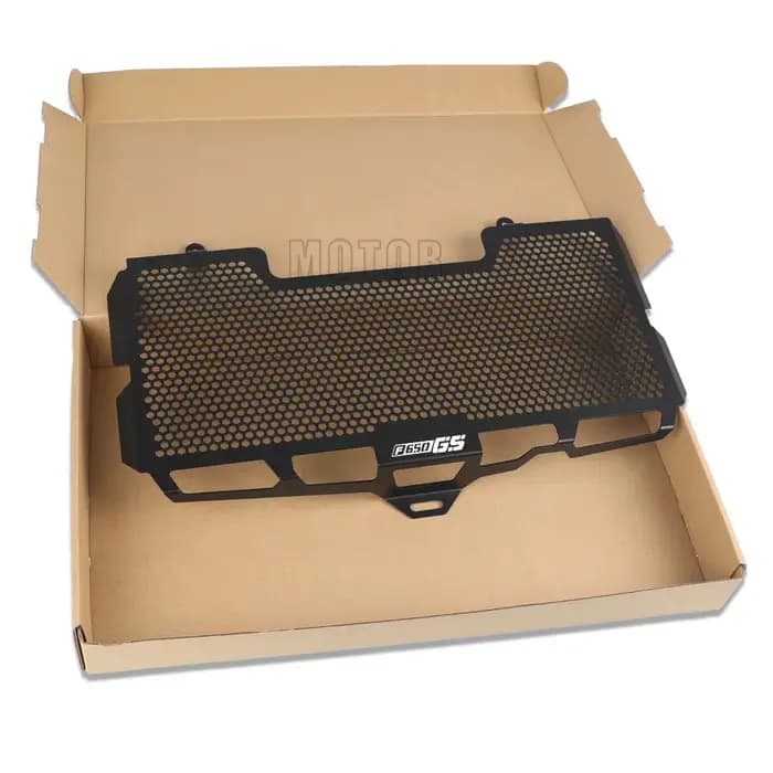 Protecteur de Calandre pour Moto, Accessoires Religieux, pour BMW F650GS, F700GS, F800R, F800S, 2008