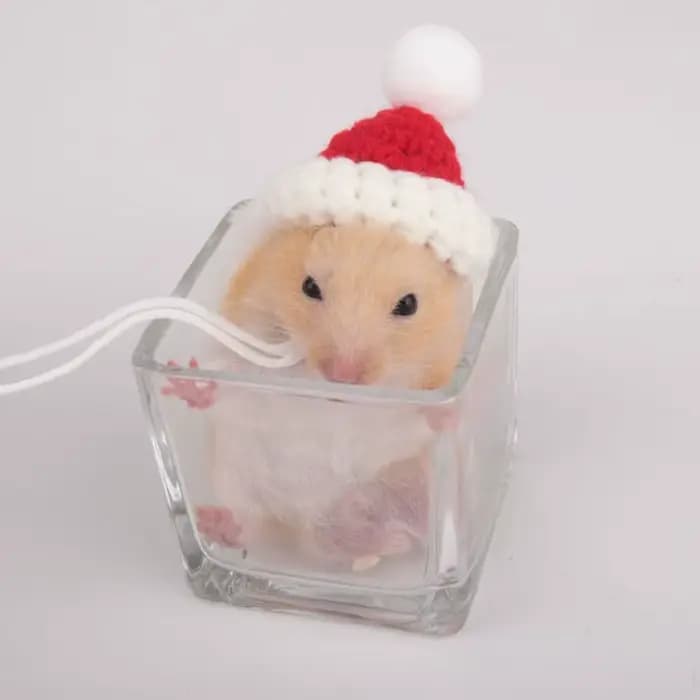 Accessoires pour animaux de compagnie, chapeau de Hamster de dessin animé, doux, fait à la main, tri