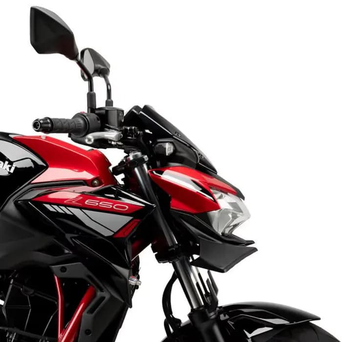 Becquet de force nue pour moto, déflecteur d'aile aérodynamique, pour KAWASAKI Z650 2020 2021 2022 2023 2024