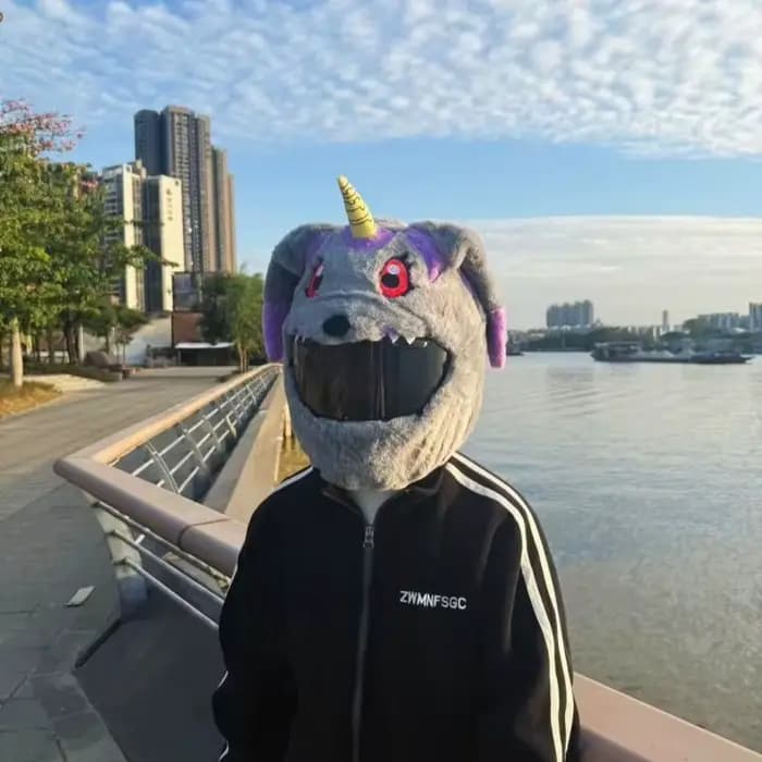 Housse de casque de moto Kawaii Digimon Gabumon en peluche, protection intégrale pour casque intégral, décoration de casque de moto anime