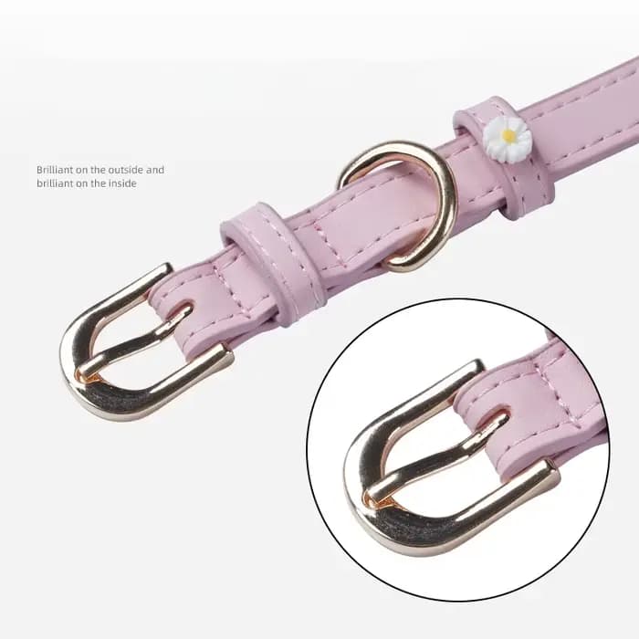 Collier en cuir PU pour animal de compagnie, accessoires mignons pour chien, ULde traction en alliage, boucle de cou pour chat, nounours et schnauzer, détruire et décorer