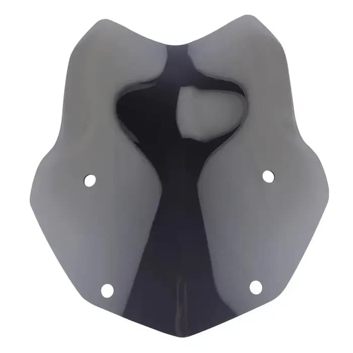 Pare-brise de moto pour BMW R1200GS