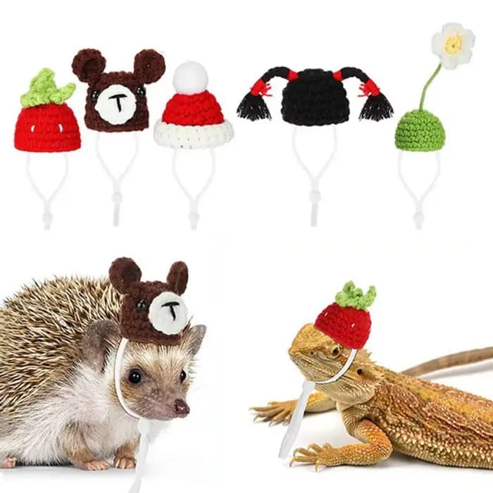 Accessoires pour animaux de compagnie, chapeau de Hamster de dessin animé, doux, fait à la main, tricoté, réglable, petits casquettes pour animaux de compagnie, photographie