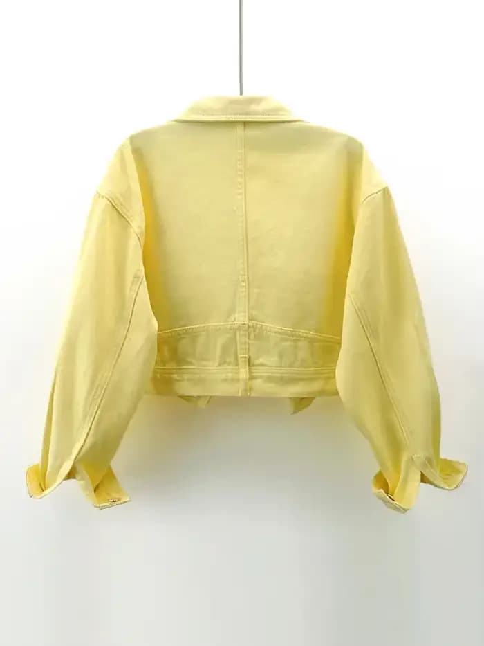 Veste en jean à manches longues brodée jaune français pour femmes printemps et automne nouveau manteau court décontracté Joker de haute qualité à la mode.