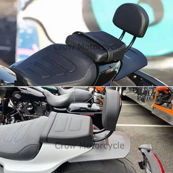 Kit de dossier de passager Sportster S