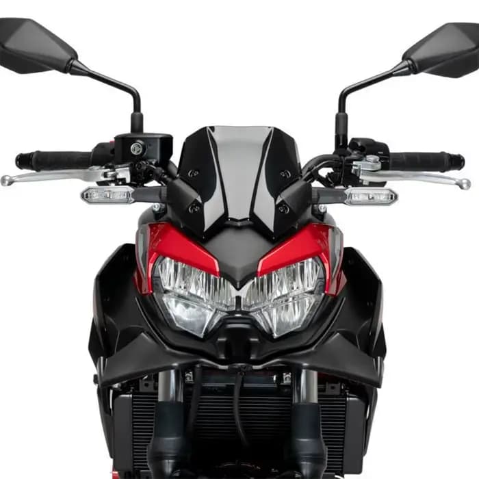 Becquet de force nue pour moto, déflecteur d'aile aérodynamique, pour KAWASAKI Z650 2020 2021 2022 2023 2024