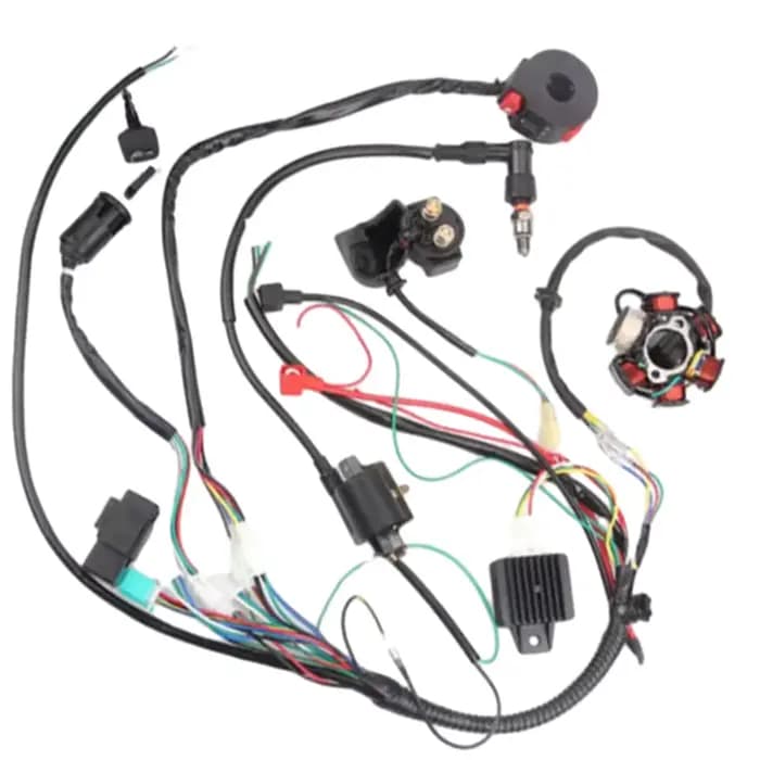 Faisceau de câblage électrique complet