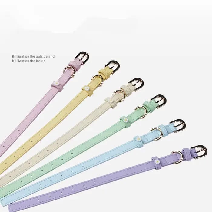 Collier en cuir PU pour animal de compagnie, accessoires mignons pour chien, ULde traction en alliage, boucle de cou pour chat, nounours et schnauzer, détruire et décorer