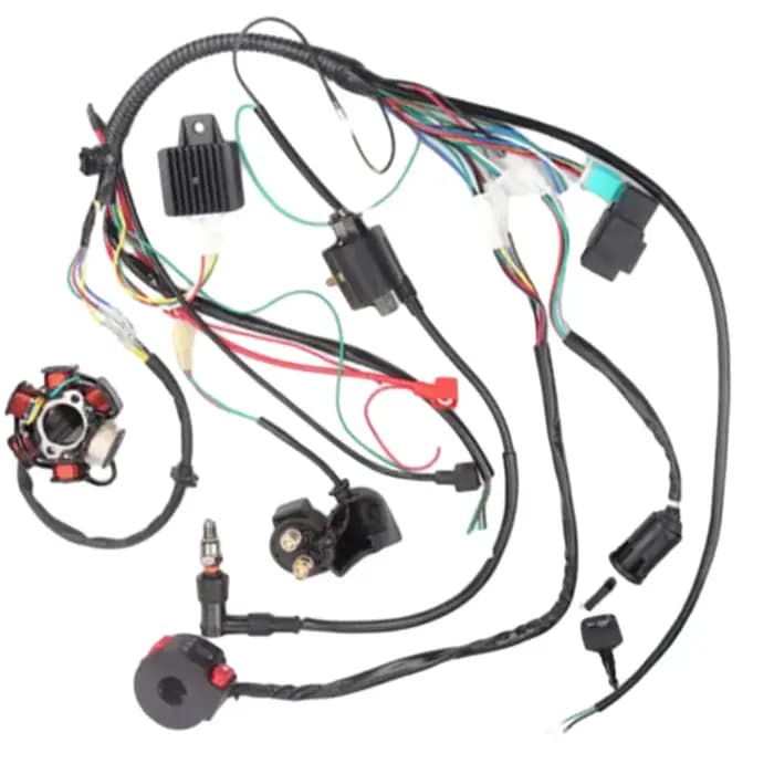 Faisceau de câblage électrique complet