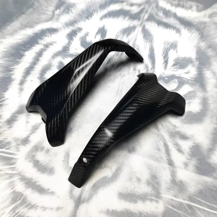 Nouveau pour BMW R1300GS R 1300 GS 2023-2025 véritable Fiber de carbone garde de moteur couvercle de culasse protecteur accessoires de moto