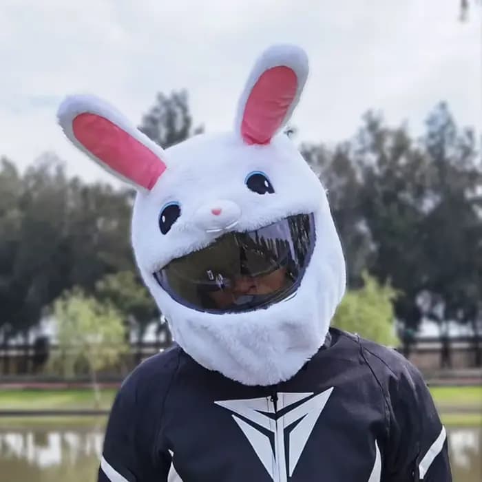 Housses de casque de moto en peluche de dessin animé drôle