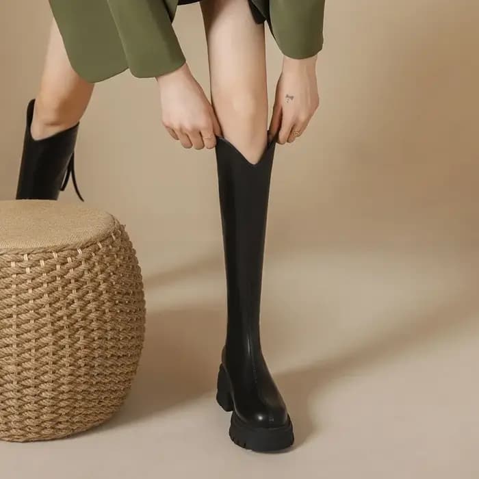 Bottes hautes pour femmes automne hiver nouveau Style fond épais Tube haut fermeture éclair dos