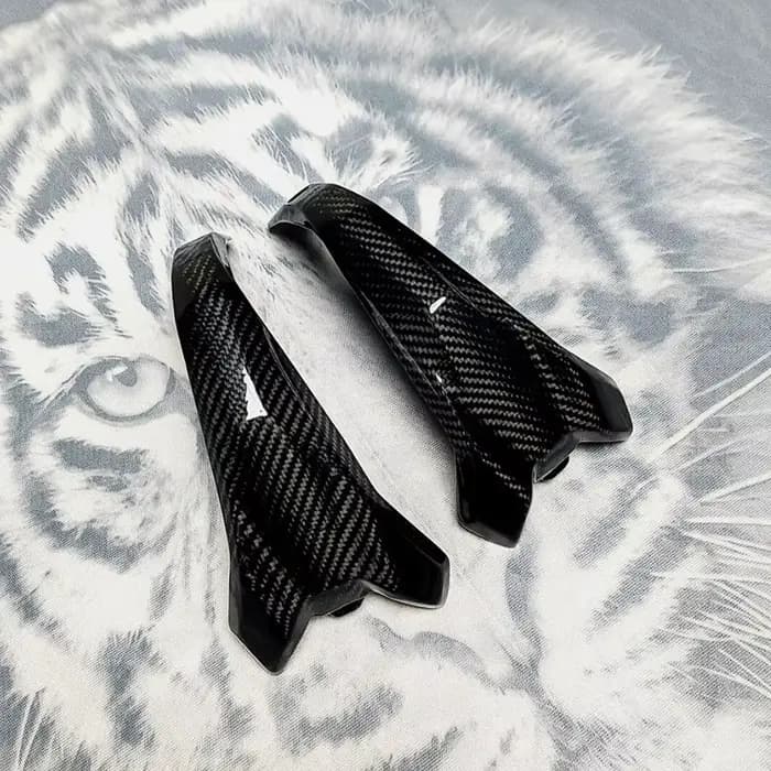 Nouveau pour BMW R1300GS R 1300 GS 2023-2025 véritable Fiber de carbone garde de moteur couvercle de